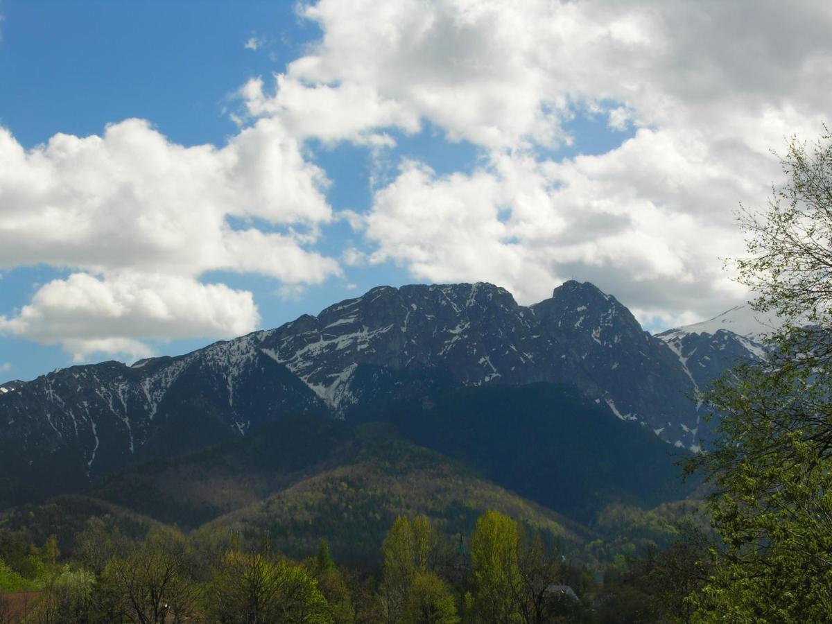 Domki Mroz Zakopane Luaran gambar