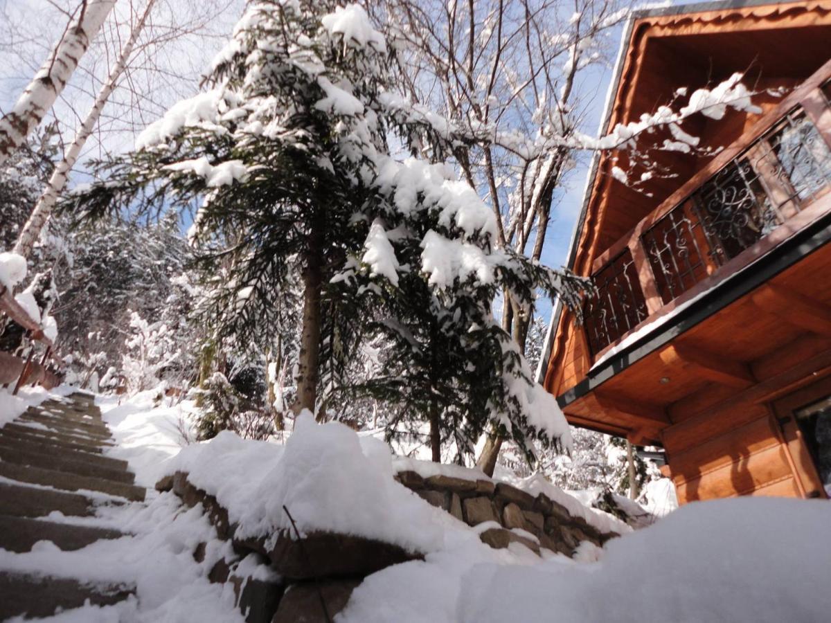 Domki Mroz Zakopane Luaran gambar