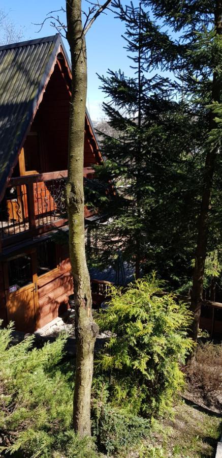 Domki Mroz Zakopane Luaran gambar