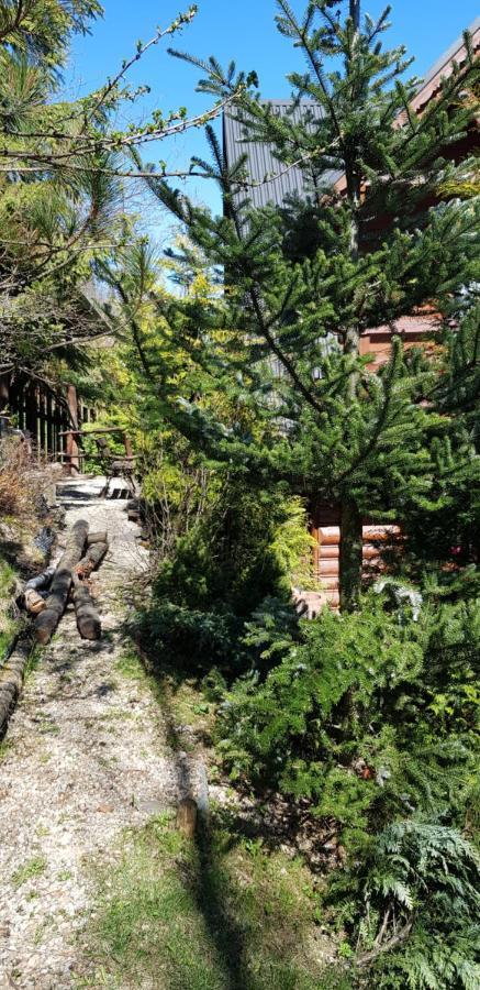 Domki Mroz Zakopane Luaran gambar