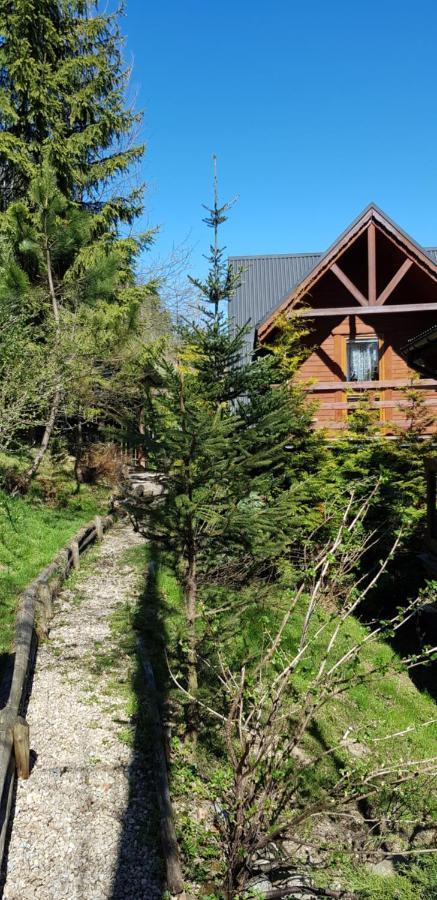 Domki Mroz Zakopane Luaran gambar