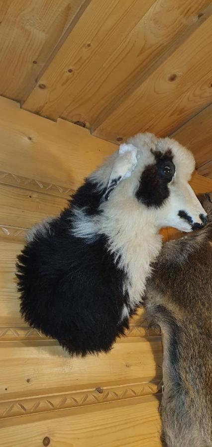 Domki Mroz Zakopane Luaran gambar