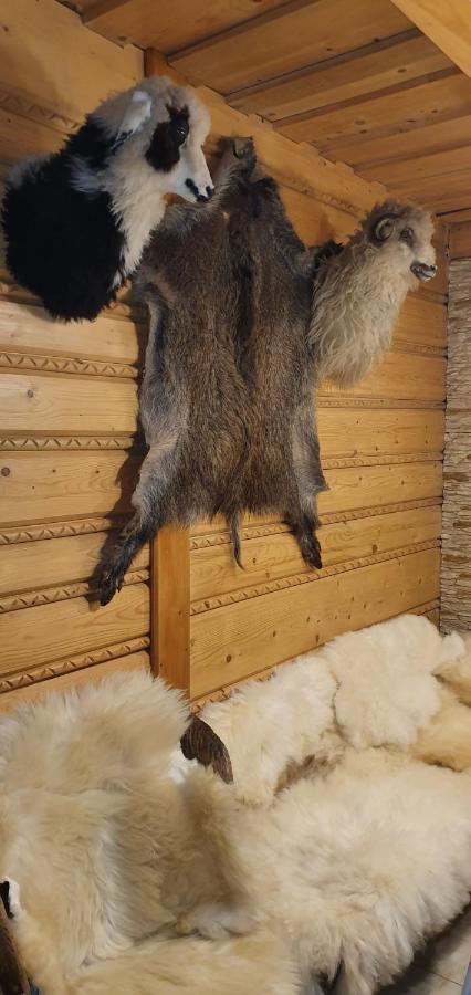 Domki Mroz Zakopane Luaran gambar