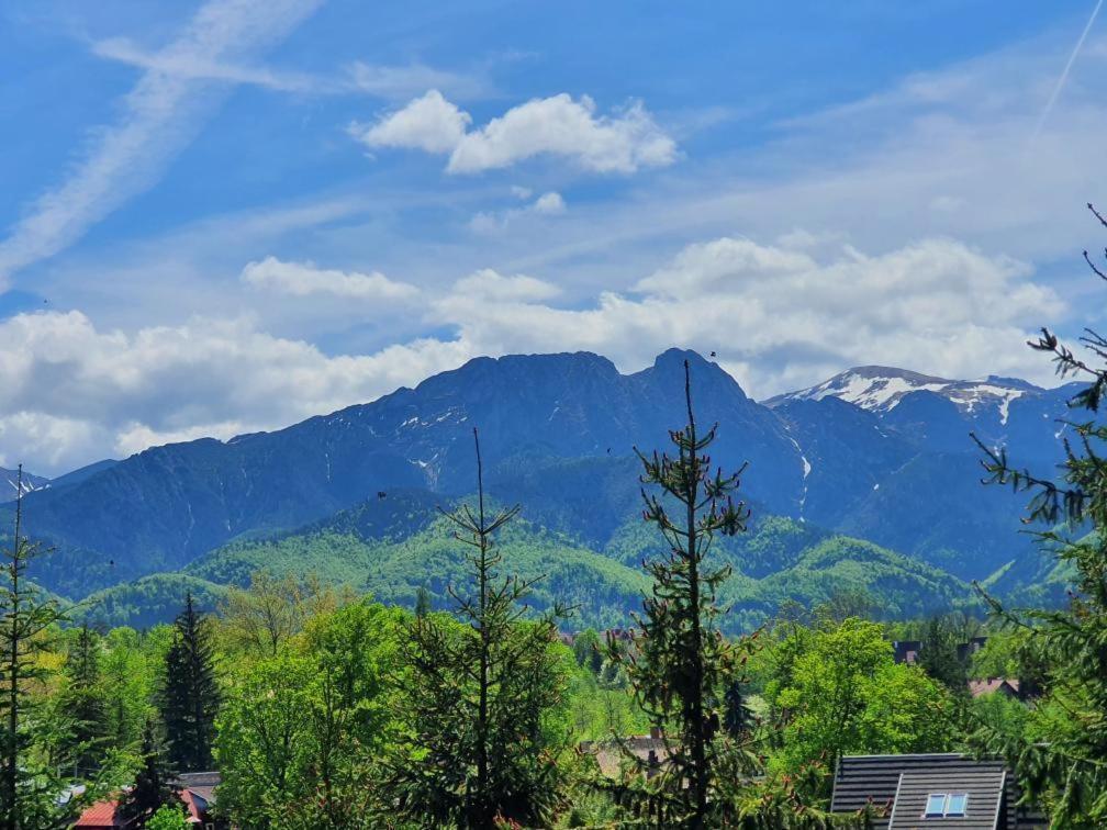 Domki Mroz Zakopane Luaran gambar